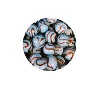 mesbilles - 25 Billes Zèbre Turquoise - Bille en Verre 16 mm