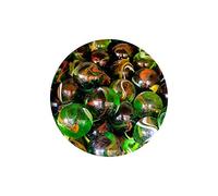 mesbilles - 4 Calots Billes Pic Vert - Bille en Verre 25 mm