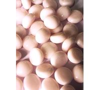 mesbilles - 500 GR Rose Perle Léger 300 Billes Plates Plates - Galet en Verre 12 mm Cailloux en Verre décoratifs