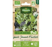Mesclun Asiatique pour Jeunes Pousses - BIO