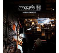 Mesh - Looking skyward