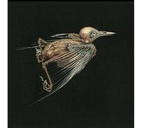 Jenny Hval & Susanna – Meshes of Voice – CD