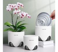 Meshpot Pots à orchidée de 10 cm avec trous, lot de 1, pot à orchidée double couche en plastique imitation céramique offrant une bonne circulation de l'air, pot à orchidée transparent assorti à un