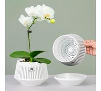 Meshpot Pots d'orchidées de 12 cm avec des Trous pour Le rempotage,Lot de 1, jardinière décorative pour orchidée avec Circulation d'air et Bonne Circulation d'air,Contenant à orchidées en Plastique