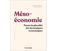 Mésoéconomie: Penser la pluralité des dynamiques économiques