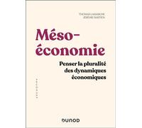 Mésoéconomie Penser la pluralité des dynamiques économiques - Thomas Lamarche - Dunod - broché - Etude