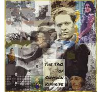 Meson - The Tao Of Cwmdonkin Drive
