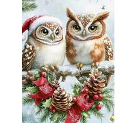 Mesribandy Kit de Peinture Diamant 5D Strass Cristal Chouette avec un bonnet de Noël DIY Numéros Diamant Art Canevas Perles a Coller Décoration Murale 50x70 cm