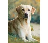 Mesribandy Kits De Peinture Au Diamant Pour Adultes Kits labrador retriever D'Art perles 5D Pour Débutants DIY Mosaïque Diamond-Painting Images Décor 40x50 cm