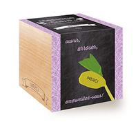 Message Cube, Avec Haricot Magique Gravé Au Laser: Merci, Idée Cadeau (100% Ecologique), Grow-Your-Own/Kit Prêt-à-Pousser, Plantes Dans Des Cubes En Bois 7.5cm, Produit en Autriche