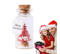Message dans une bouteille, messages dans un flacon, Message en pot Message romantique en bouteille | Ornements de bureau, décoration de bureau de Noël originale pour couple amoureux de la famille