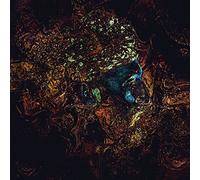 MESSAGE FROM THE OTHER SIDE by Damian Lazarus & The Ancient Moons