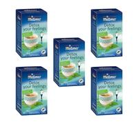 Meßmer Detox your Feelings - Lot de 5 sachets de thé Detox your Feelings - Infusion aux herbes aux orties et thé vert - Sans gluten - Sans lactose - Végétalien