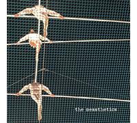 Messthetics - Messthetics