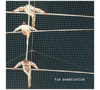 Messthetics - Messthetics [Vinyl]