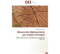 Mesure Des Déplacements Par Analyse D'images