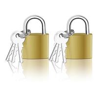 Mesybveo Lot de 2 Cadenas à Clé, 32 mm Petits Cadenas avec 6 Clés, Cadenas Casier Robuste, Portable, mini cadenas pour bagages, casiers, Verrouillage de Bicyclette, Portes et Fenêtres