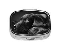Meta Pilulier à 2 compartiments Motif chiot labrador Noir