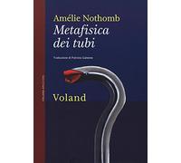 Metafisica dei tubi