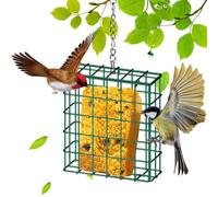 Metal Bird Feeder, Squirrel Proof Square Bird Feeder, Iron Food Holder with Chain, Feeding Supplies Garden Decor for Backyard, Balcony, Porch & Trees, 5.31x4.96x1.97 inches