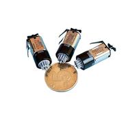 Metal Brush 10MM Planetary Gear electronic starter DC2.5V-5V M10 Precision Geared electronic starter With Rare Earth Strong Magnet for Medical Equipment IINKUEYK