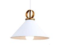 Metal Color Hanging Light Minimalist Chandelier Restaurant Romantic Pendant Lights Bedside Elegant Ceiling Lighting Fixture for Coffee Shop Restaurants Hotel Study Room