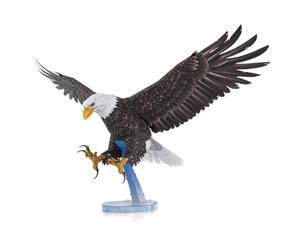 Metal Earth Kit de modélisme 3D en métal avec aigle à tête blanche américaine