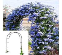 Metal Garden Arch for Climbing Plants, Decorative Trellis Arch, Rose Arch with Steel Frame, Outdoor Trellis, 180cm x 220cm & 300cm x 220cm - Perfect for Gardens and Weddings