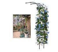 Metal Garden Arch Trellis for Climbing Roses - Wall Support for Indoor/Outdoor Use Adjustable Width 60cm-240cm (120x240x40cm) -and Elegant Design