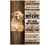 Métal Mur Affiche Chien, Je suis Ton Ami, Ton Partenaire, Ton Bichon Havanais Wall Sticker Rétro Sign Metals Drôle Affiche en Métal pour Hôtels Pub Café S