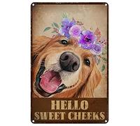 Métal Mur Affiche Salle De Bain Amusante Bonjour Sweet Cheeks Assieds-Toi, Chien Sign Metals Vintage Étain Panneau Rétro Poster Aluminium Pour Parc Pub Cuisine M