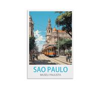 Métal Tin Sign Affiches du Musée Paulista de Sao Paulo Decorative Funny Wall Art Painting Metal Decor for Home Vintage Decoration 30x40cm