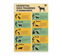 Metal Tin Sign For Dog Owners Basic Obedience Commands Chart Dog Training Guide With Visual Examples Educational Reference For Home 8 X 12 in