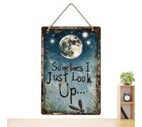 Metal Wall Art - Dragonfly & Moon Sign | 20-40cm Rustic Farmhouse Decor