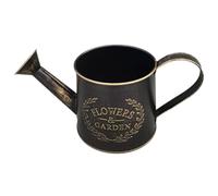 Metal Watering Can - 10.63x4.72x4.72 inch with Spout Handle Metal Pitcher