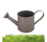 Metal Watering Can - Garden Can with Spout and Handle Jug
