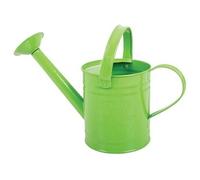 Bigjigs Toys Arrosoir Vert