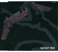 Metallica - Sad But True [Import]