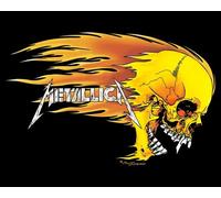 METALLICA - Skull - 40x51cm - Affiche / Poster