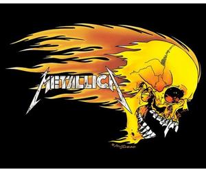 METALLICA - Skull - 40x51cm - Affiche / Poster