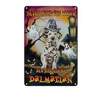 Métallique Poster, Attention À La Sorcière ! Attention Au Chien ! Bouvier Bernois, Plaque Métal Esthétique, Robuste Métal Mur Signe Pour Bar Jardin Hôtels, 20X30Cm