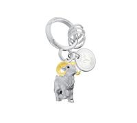 METALMORPHOSE - Porte-clés Charms Signe du Zodiaque Bélier - Signe Astrologique Bélier - Cadeau Homme, Femme et Enfant