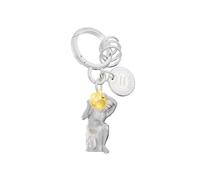 METALMORPHOSE - Porte-clés Charms Signe du Zodiaque Verseau - Signe Astrologique Verseau - Cadeau Homme, Femme et Enfant