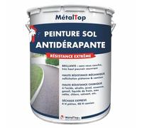 Metaltop Peinture Antiderapante - Gris basalte - RAL 7012-5 L Protection anti-glisse pour sols en béton, ciment, bois
