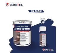 Metaltop - Peinture Fer Monocouche - Blanc gris - RAL 9002 - Bombe 400mL