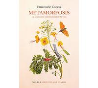 Metamorfosis: La fascinante continuidad de la vida
