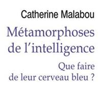 Métamorphoses De L'intelligence - Que Faire De Leur Cerveau Bleu ? | Occasion