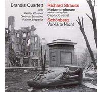 Métamorphoses Pour Septuor À Cordes, Prélude De Capriccio