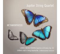 Metamorphosis
