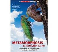 Metamorphosis, la lutte pour la vie